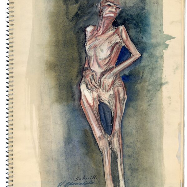 A drawing of a skeleton in a dress