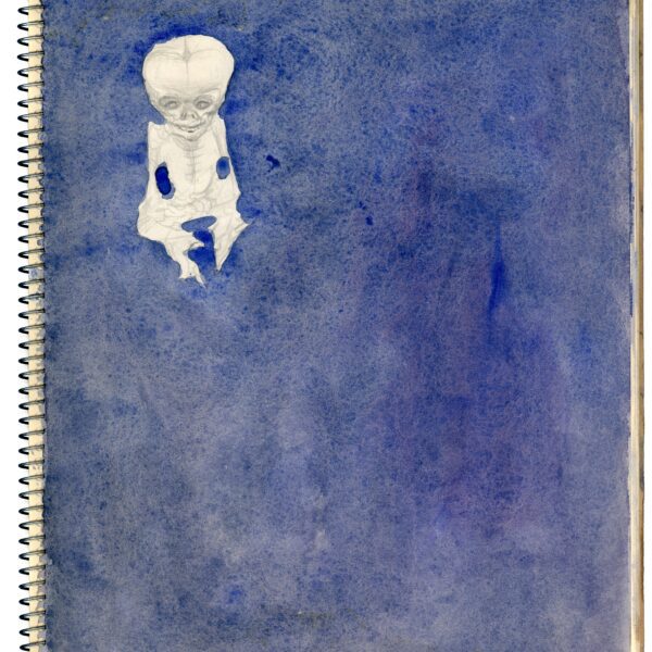 A blue notebook with a white cover and a picture of a person.