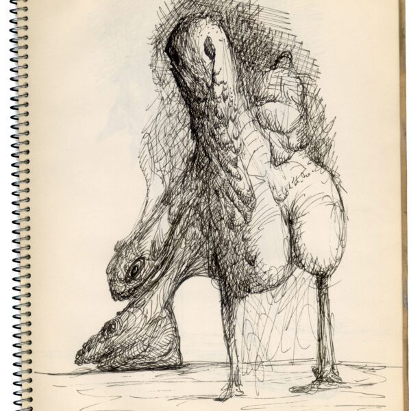 A drawing of an ostrich with its head down.