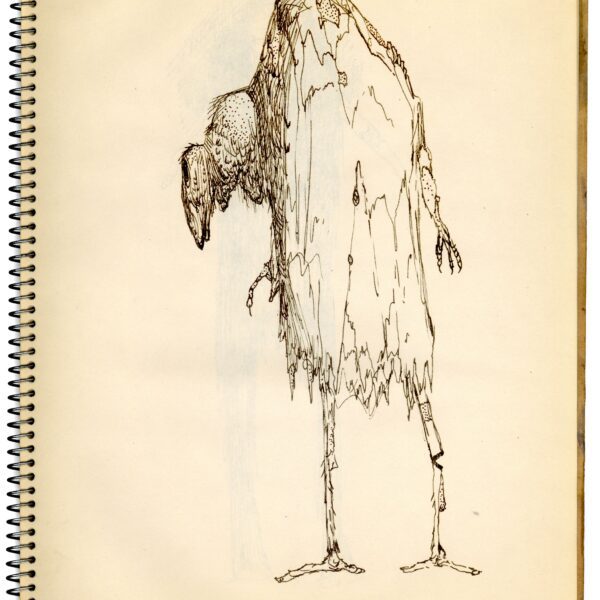 A drawing of an ostrich standing on its hind legs.